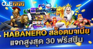 แจก ฟรีสปิน สูงสุด 30